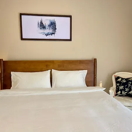 Aparthotel Ay'S House